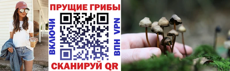 Галлюциногенные грибы ЛСД  Кемерово 