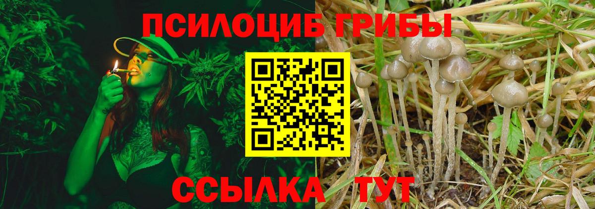 Псилоцибиновые грибы мицелий  Вход с VPN  Кемерово  Галлюциногенные грибы Magic Shrooms 